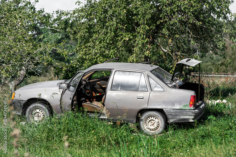 Abandoned old car with open doors and trunk overgrown by tall grass near trees in rural area, showing signs of rust and neglect Abandoned old car with open doors and trunk overgrown by tall grass near trees in rural area, showing signs of rust and neglect