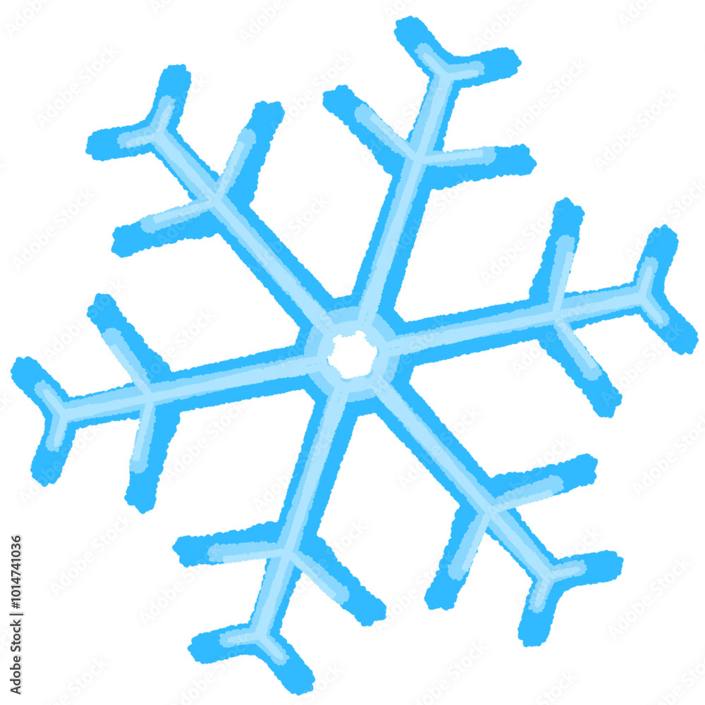 Snowflake in the Christmas 2024. Snowflake in the Christmas 2024.
