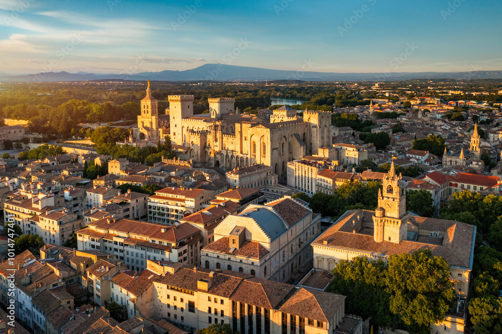 Fototapeta premium View of Avignon with Palais des Papes during sunset in Southern France. Medieval architecture along the Rhone River in Avignon, Provence, France. The Palais des Papes in Avignon, South France.