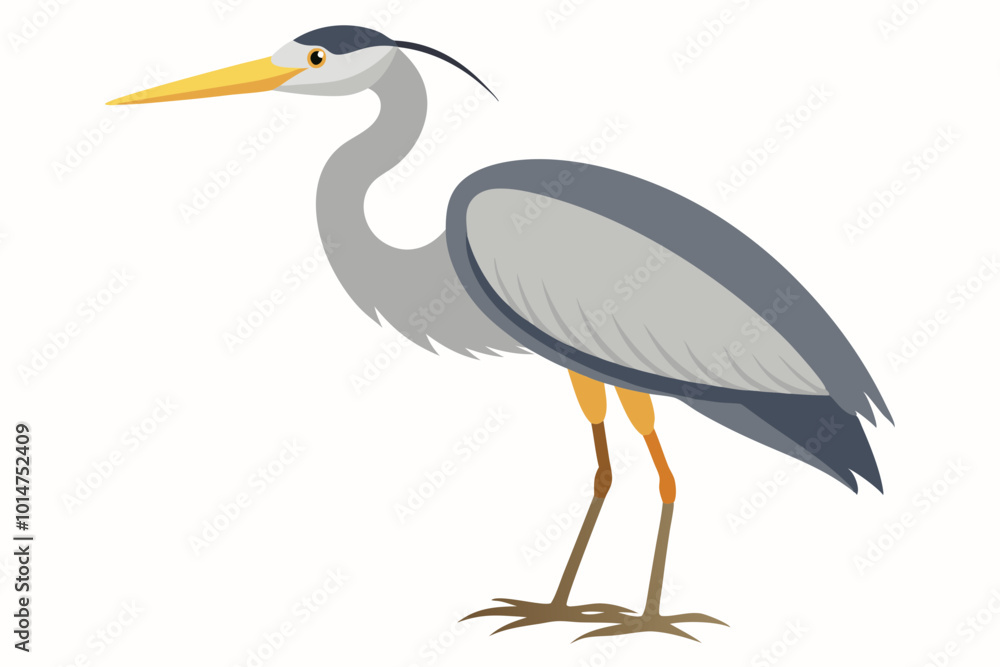 Fototapeta premium Gray heron bird vector design