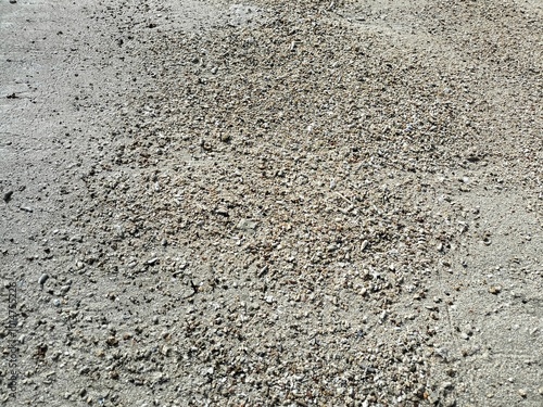 Natural sea coral fragments on a beautiful beach