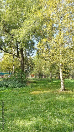 autumn in the park