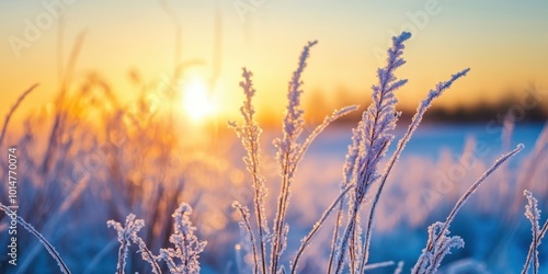 Frosted grass glistens under a beautiful sunrise, capturing the serene beauty of winter mornings in nature.