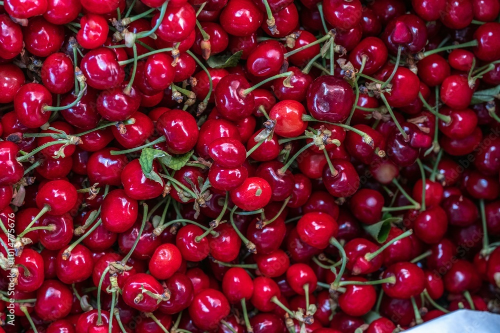 Fresh Sweet Red Cherries with Water Droplets in a Vibrant Top View Background Fresh Sweet Red Cherries with Water Droplets in a Vibrant Top View Background
