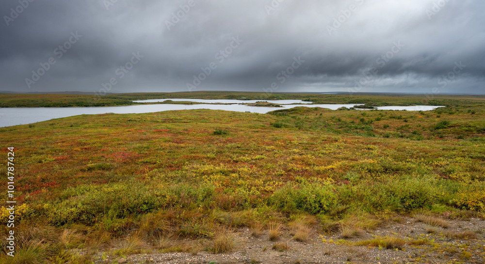 Autumn view of a tundra pond on the permafrost near Tuktoyaktuk, Northwest Territories, Canada Autumn view of a tundra pond on the permafrost near Tuktoyaktuk, Northwest Territories, Canada