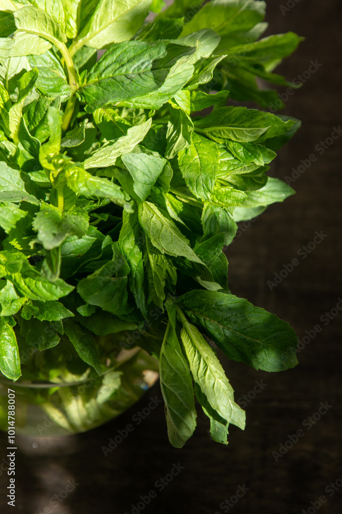 Mint green leaves, fresh summer bouquet background Mint green leaves, fresh summer bouquet background