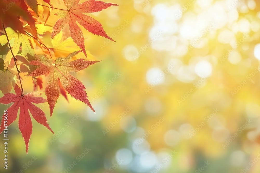 autumn natural bokeh background with maple trees in park with copyspace - generative ai autumn natural bokeh background with maple trees in park with copyspace - generative ai