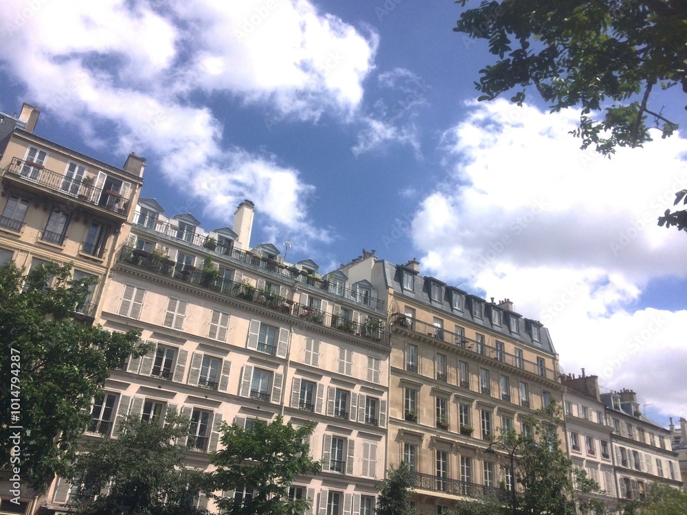 Naklejka premium a view of the exterior of buildings from a Parisian street