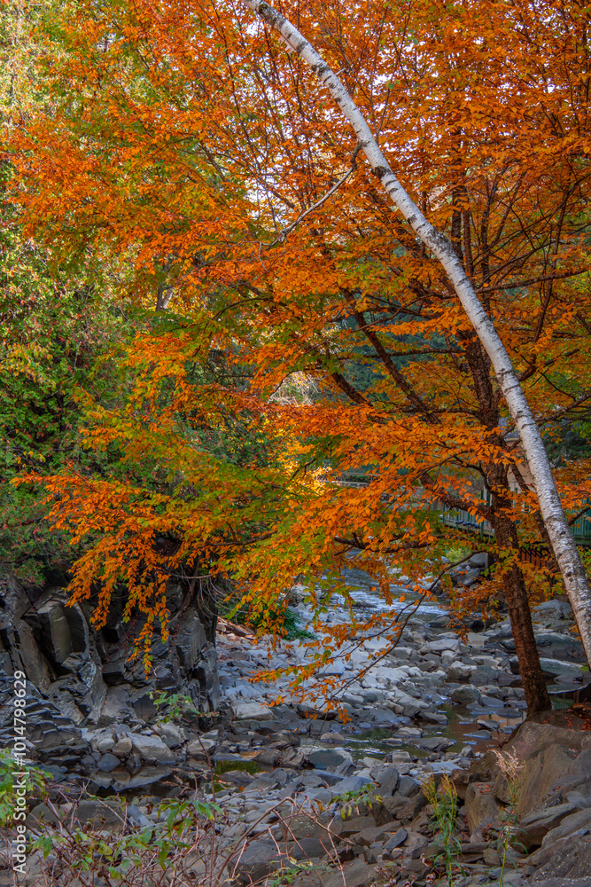 Magnificent autumn landscapes in the Canadian countryside in the province of Quebec Magnificent autumn landscapes in the Canadian countryside in the province of Quebec