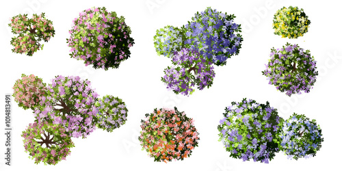 Vertor set of spring blossom tree,blooming plants top view for landscape plan,schematic layout,eco environment concept design,watercolor sakura illustration