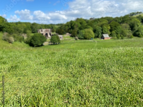 Scenic view of Furness Abbey nestled in a grassy meadow, set against a clear blue sky. The ruins of the abbey evoke a sense of tranquility and history, offering a glimpse into medieval England’s past. photo