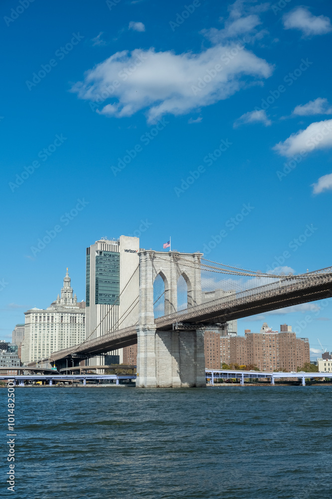 Naklejka premium Brooklyn Bridge 