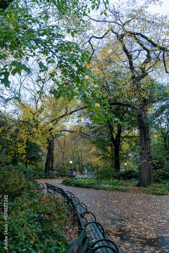 Central Park in Autumn