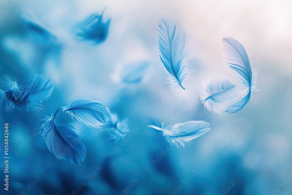 Delicate blue feathers gracefully float in a serene atmosphere, creating a calming and tranquil visual experience. Delicate blue feathers gracefully float in a serene atmosphere, creating a calming and tranquil visual experience.