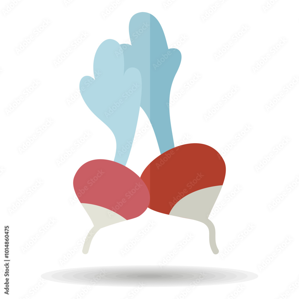 Obraz premium Radish isolated design vector icon. Vegetable sign