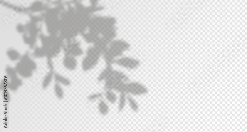 Glare from the sun's rays on the wall. Blurred shadows from leaves and plants in the room. Soft overlay of natural light. Abstract background for product presentation.