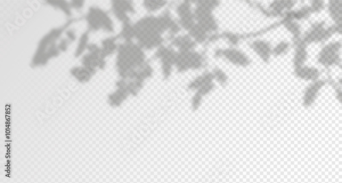 Glare from the sun's rays on the wall. Blurred shadows from leaves and plants in the room. Soft overlay of natural light. Abstract background for product presentation.