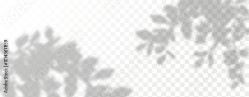 Glare from the sun's rays on the wall. Blurred shadows from leaves and plants in the room. Soft overlay of natural light. Abstract background for product presentation.