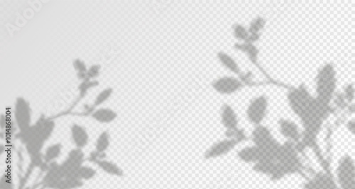 Glare from the sun's rays on the wall. Blurred shadows from leaves and plants in the room. Soft overlay of natural light. Abstract background for product presentation.