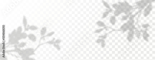 Glare from the sun's rays on the wall. Blurred shadows from leaves and plants in the room. Soft overlay of natural light. Abstract background for product presentation.