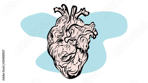 Detailed anatomical heart illustration in artistic style against a light blue background, showcasing complex vascular structures and classic artistic design elements.