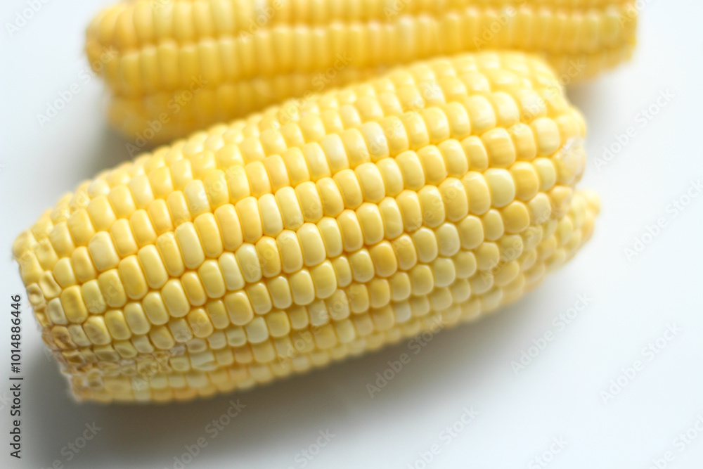 Top View Fresh Corn Cobs Isolated on White Background. Selective Focus. Top View Fresh Corn Cobs Isolated on White Background. Selective Focus.