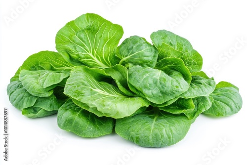 Fresh pak choi cabbage isolated on white background with full depth of field - generative ai