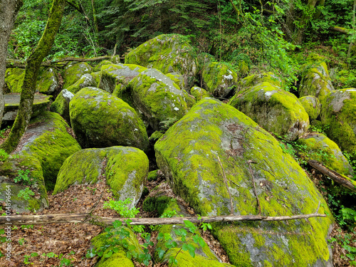 Rocks on the path of the Rouquette in Occitanie in France photo