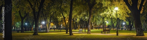 A park at night, with trees lit up by streetlights.