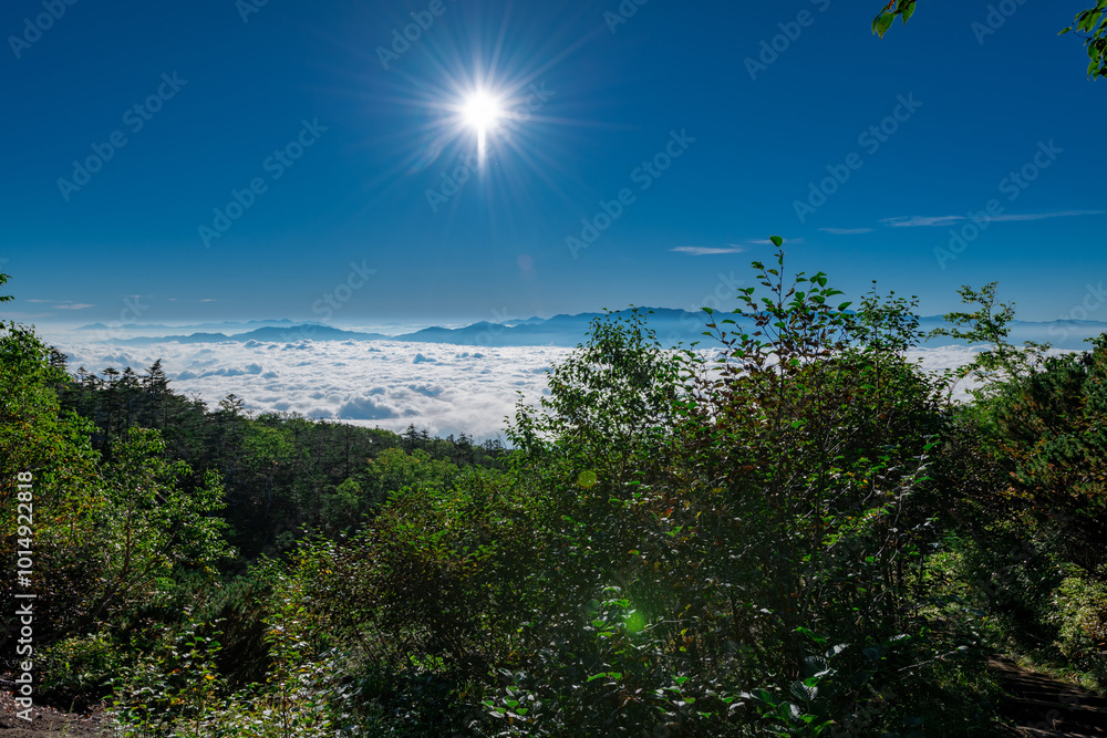 Obraz premium 御嶽山八合目から広がった雲海を望む