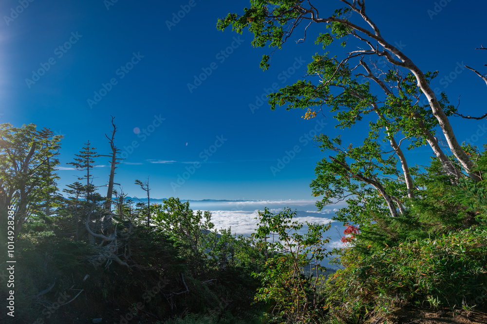 Obraz premium 御嶽山八合目から広がった雲海を望む