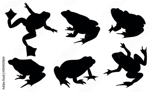 Frog Animal Amphibians in Different Poses. Vector Black Illustration