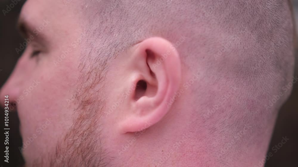 Closeup man's ear. Portrait of a guy with a beard and a mohawk in the park. Stylish caucasian male body part, face, head Closeup man's ear. Portrait of a guy with a beard and a mohawk in the park. Stylish caucasian male body part, face, head