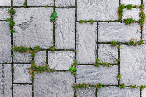 Grass has grown over the old paved area.