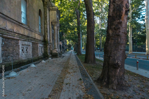 A quiet street in Chisinau, lined with cozy houses and greenery