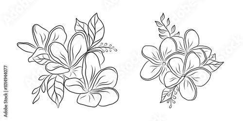 Collection of sketches of blooming floral plants. Hand drawn vintage orchid flowers and leaves in line art style. Vector botanical engraving on white background
