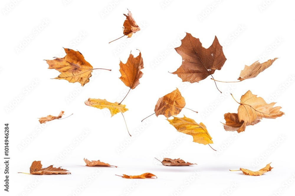 A bunch of autumn leaves flying in the air, capturing the beauty of fall A bunch of autumn leaves flying in the air, capturing the beauty of fall
