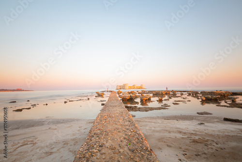 Maiden's Castle is a historical castle located in the Erdemli district of Mersin. It is approximately 80 km away from the center of Mersin. photo