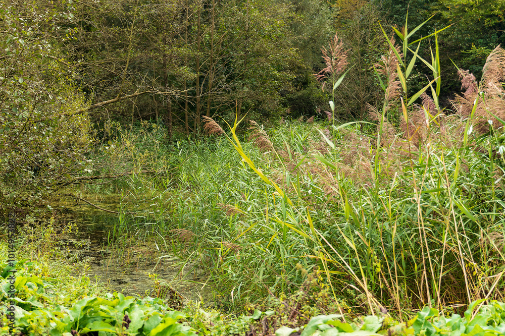 Naturschutzgebiet Kaisbergaue Naturschutzgebiet Kaisbergaue