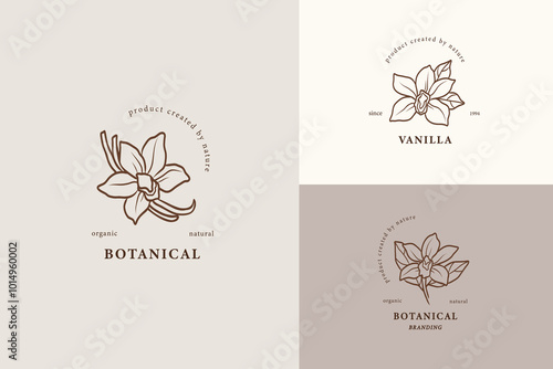Line art vanilla flower logotypes