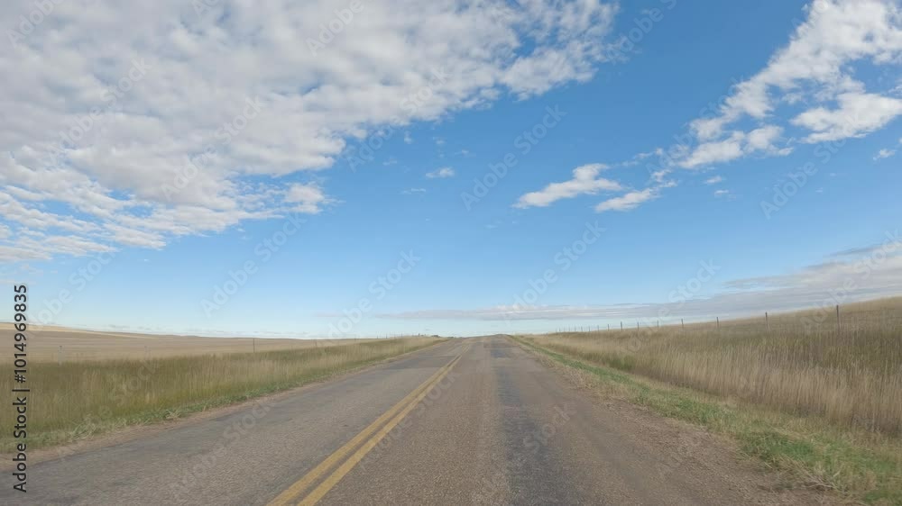 Action view while driving an old paved road through open ranch land with blue sky
Action view while driving an old paved road through open ranch land with blue sky