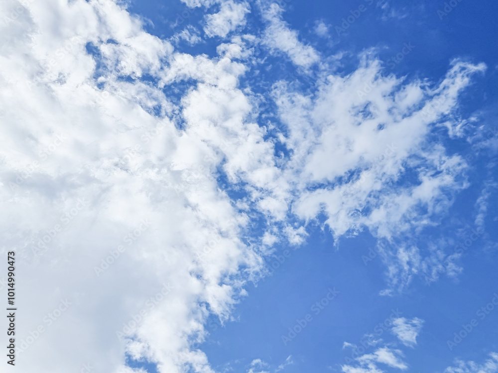 blue sky high abstract shape outdoor group of white clouds background in summer gradient light beauty background. beautiful bright cloud and calm fresh wind air blue sky high abstract shape outdoor group of white clouds background in summer gradient light beauty background. beautiful bright cloud and calm fresh wind air