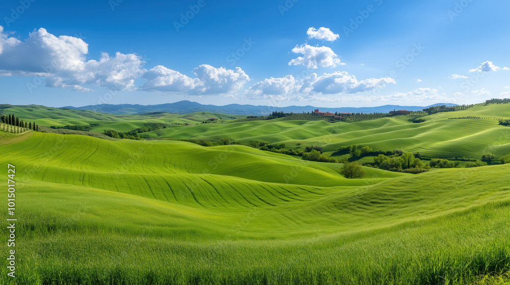 Picturesque View of Classic Tuscany Landscape Featuring Rolling Hills and Verdant Farmlands Under a Clear Blue Sky with Fluffy Clouds Picturesque View of Classic Tuscany Landscape Featuring Rolling Hills and Verdant Farmlands Under a Clear Blue Sky with Fluffy Clouds