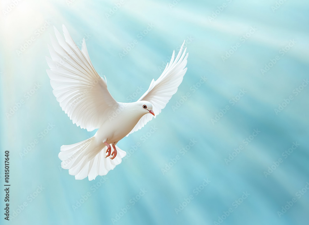 Obraz premium A white dove gracefully soaring in a vibrant blue sky illuminated by soft sunlight