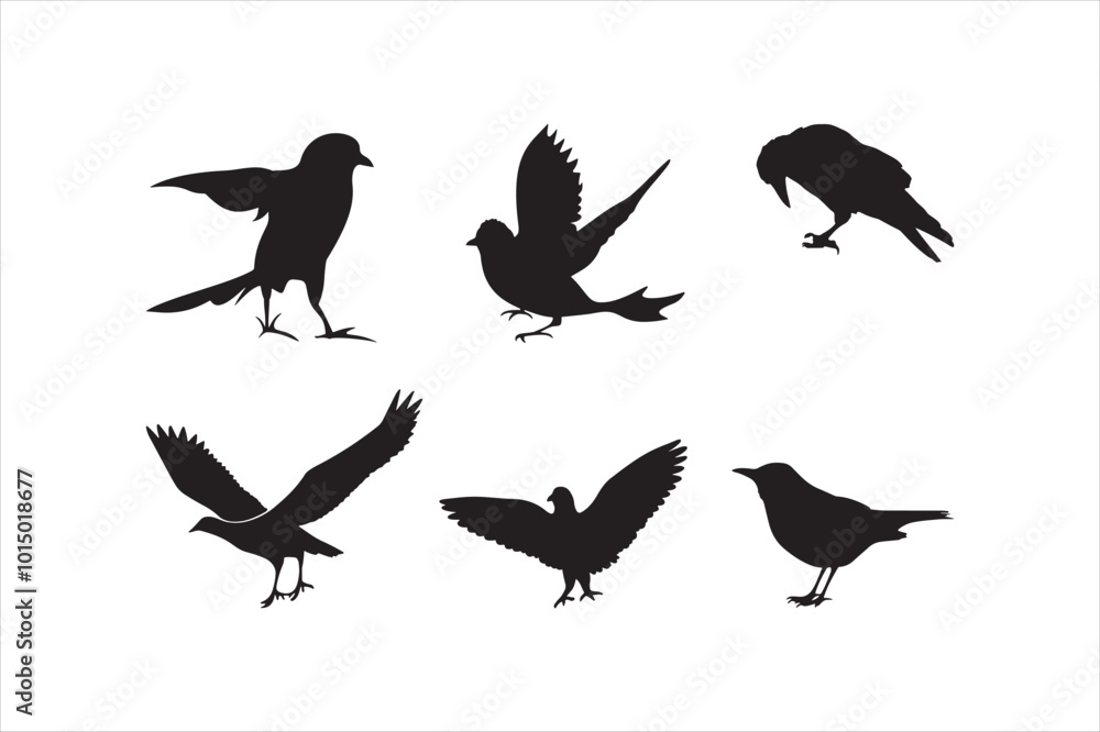 Obraz premium Bird silhouette set illustration.