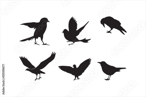 Bird silhouette set illustration. photo