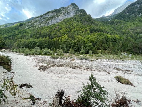 Sand alluvium of Suhi Potok in Zadnja Trenta (Triglav National Park, Slovenia) - Sandschwemmland von Suhi Potok in Zadnja Trenta (Triglav-Nationalpark, Slowenien) - Peščena naplavina Suhega Potoka