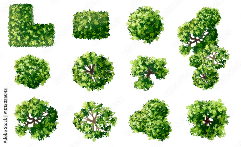 Vertor set of green tree,plants top view for landscape plan,schematic layout,eco environment concept design,watercolor greenery illustration Vertor set of green tree,plants top view for landscape plan,schematic layout,eco environment concept design,watercolor greenery illustration