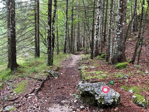 Hiking trails along the Suhi Potok in Zadnja Trenta, Bovec (Triglav National Park, Slovenia) - Wanderwege entlang des Baches Suhi Potok in Zadnja Trenta (Triglav-Nationalpark, Slowenien) photo