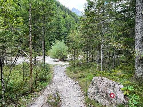 Hiking trails along the Suhi Potok in Zadnja Trenta, Bovec (Triglav National Park, Slovenia) - Wanderwege entlang des Baches Suhi Potok in Zadnja Trenta (Triglav-Nationalpark, Slowenien) photo